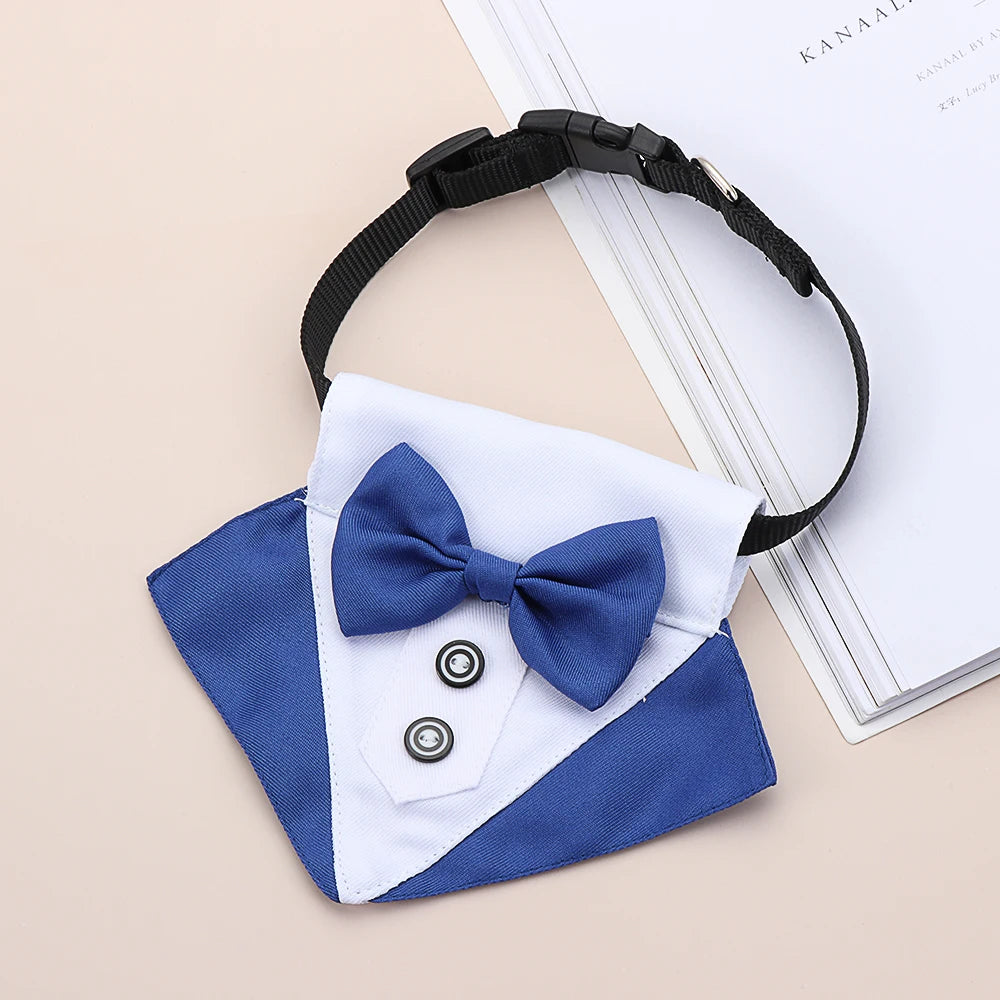 Pets Accessories