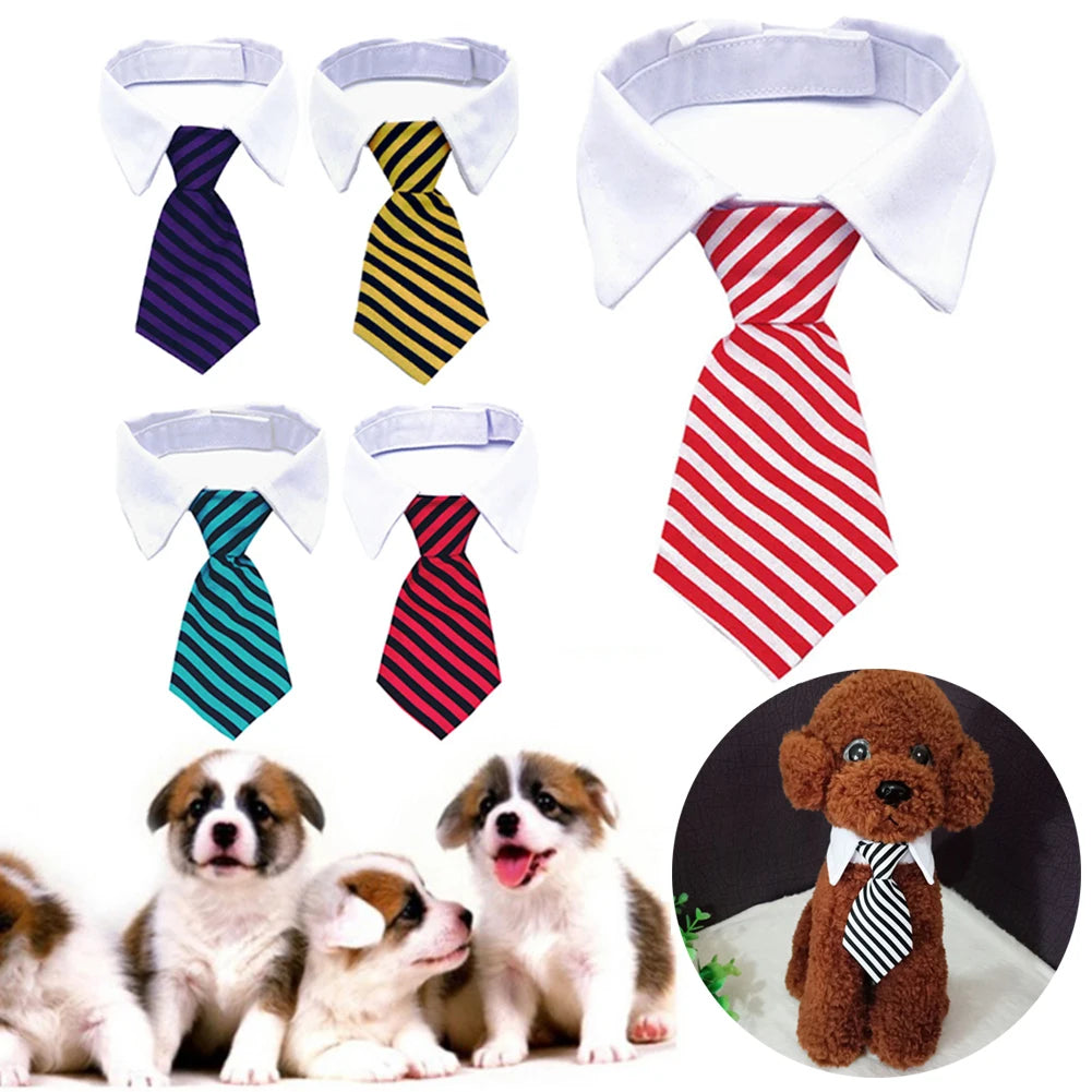 Pets Accessories