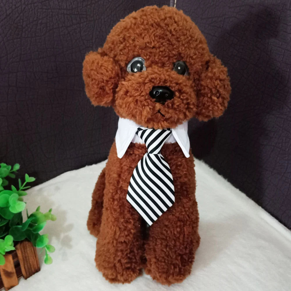 Pets Accessories