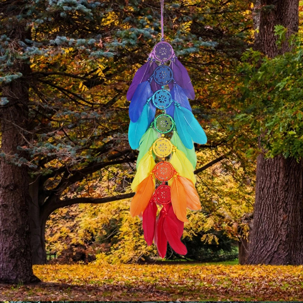 Dream Catcher Colorful Feathers