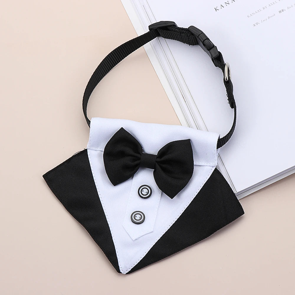 Pets Accessories