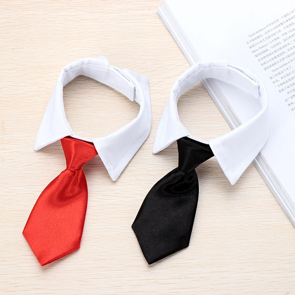Pets Accessories
