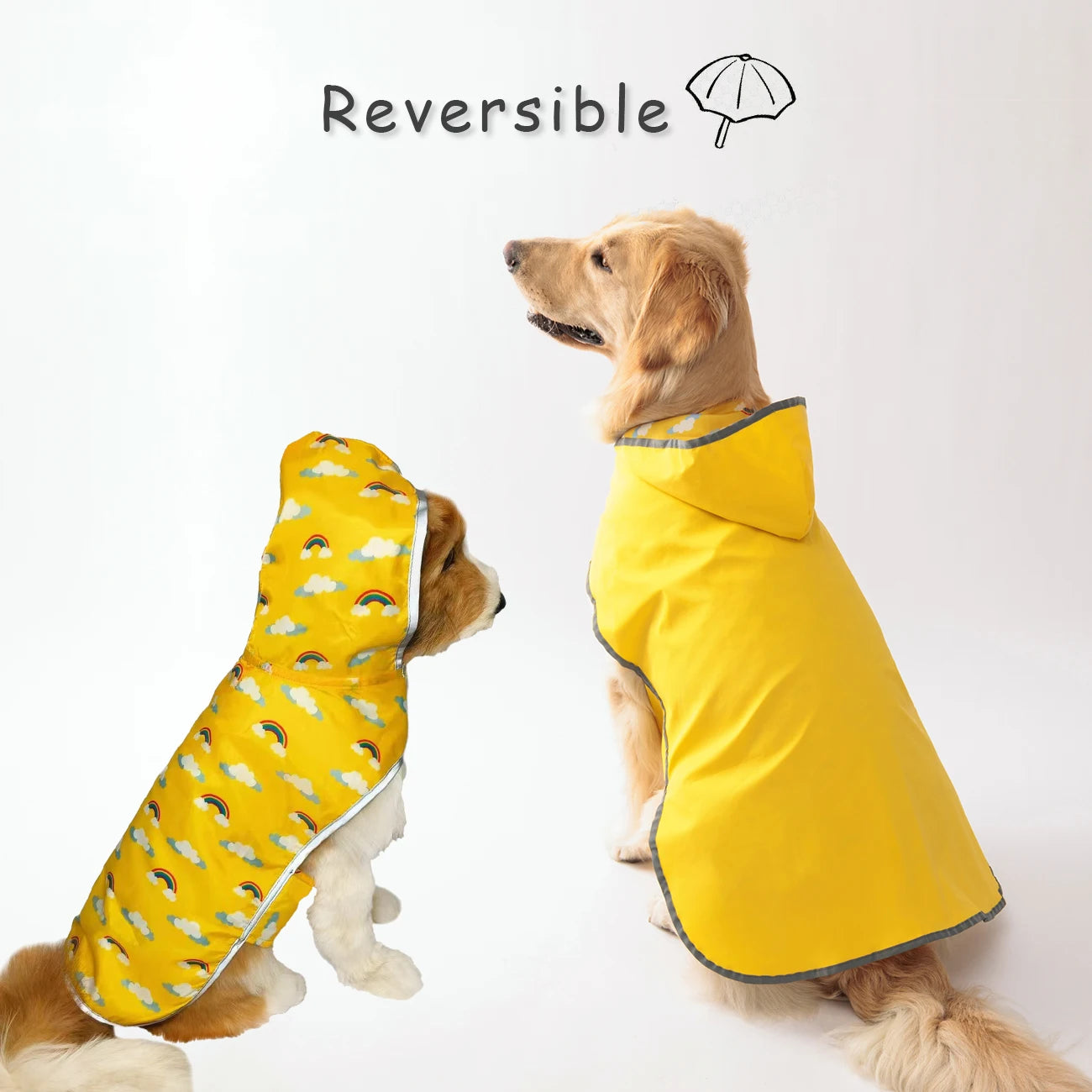 Pets Keep Your Pup Dry & Stylish