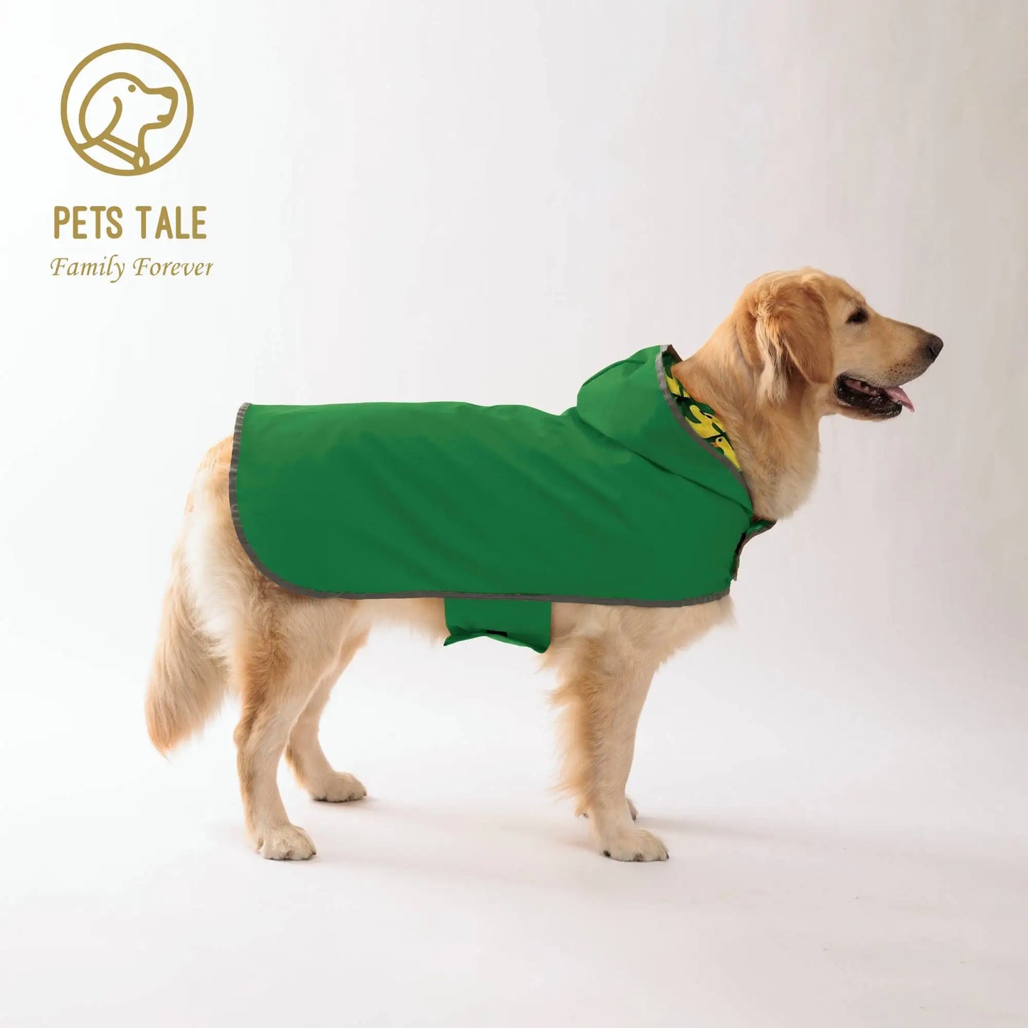 Pets Keep Your Pup Dry & Stylish